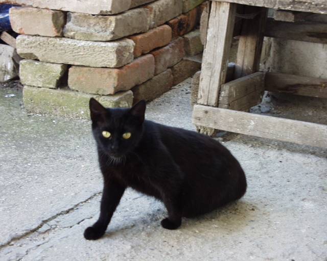 sousedovic E-li�ka